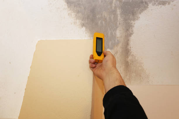 Best Post-Remediation Verification Testing  in West Chatham, MA