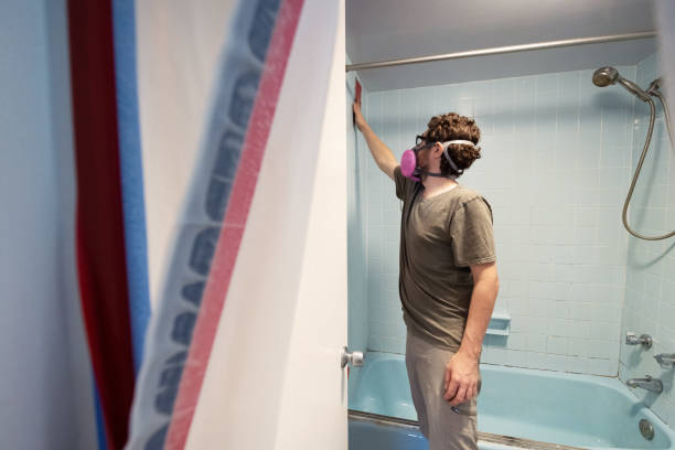 Best Mold Odor Removal Services  in West Chatham, MA