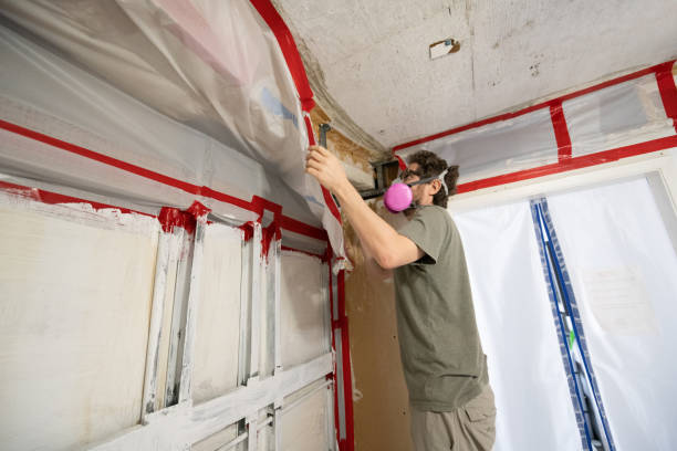 Best Mold Removal for HVAC Installations  in West Chatham, MA