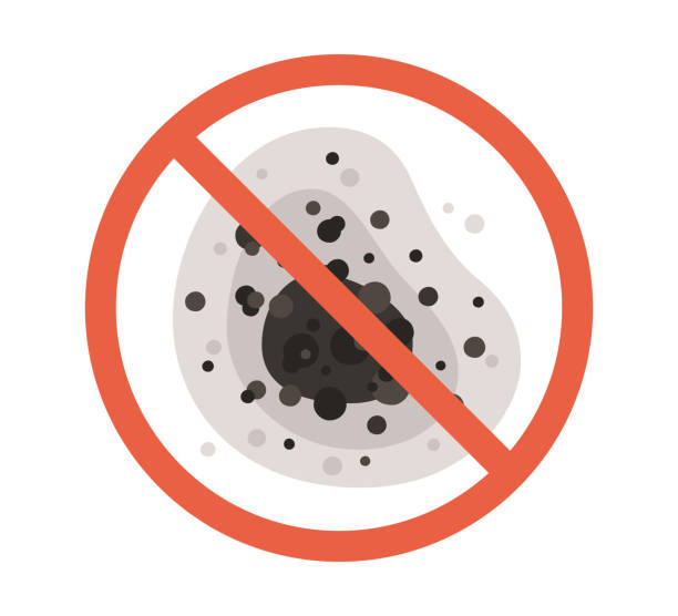 Best Residential Mold Inspection & Testing  in West Chatham, MA