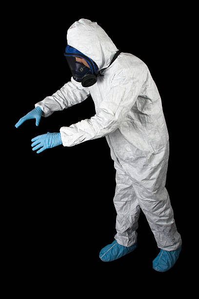 Best Basement Mold Removal  in West Chatham, MA