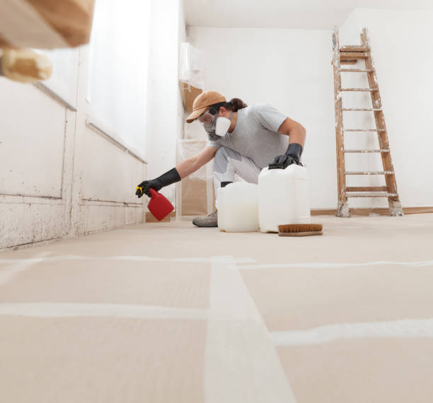 Best Airborne Mold Testing  in West Chatham, MA